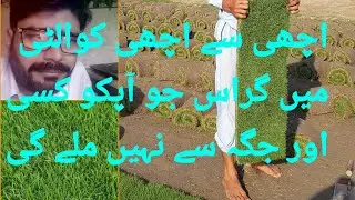 Korean Grass carpet F1 Quality available | American Grass carpet | Fine Dhaka Grass carpet F1