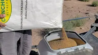 SEEDING with a Drone? DJI AGRAS T40 seeding Alfalfa!!