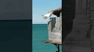 This Hut looks simple, but on such a beautiful sea.