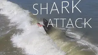 JERS BEARS SHARK ATTACK! SAY WHAAA?