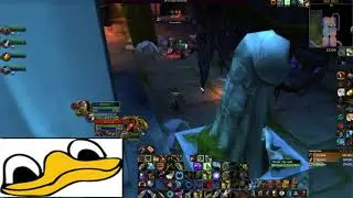 So I joined a Onyxia pug raid on discord. Wow classic