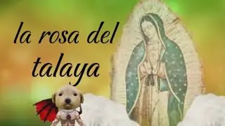 La rosa del talaya #2