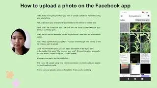 How to upload a photo on the Facebook app