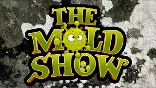 The Mold Show | Episode #11 Mold Stories: Healing, Hope, and Health