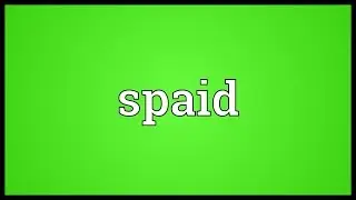 Spaid Meaning