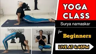 Daily Live Yoga Class for Beginners with Surya Namaskar