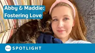 The Benefits of Fostering Senior Animals