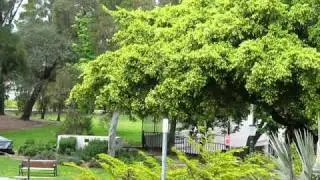 KingsCross.Tv Fitzroy Gardens 05112010 View To Lawrence Hagraves Park