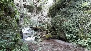 Priroda i Rostu&scaron;ka Reka 2020 / Nature and Rostu&scaron;e River