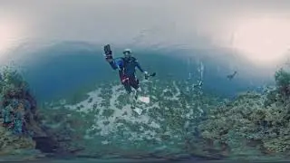 Dive 6 &ndash; Panorama Reef | East Wall | Red Sea 360&deg;