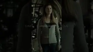 #pov : everyone&rsquo;s in love with y/n potter