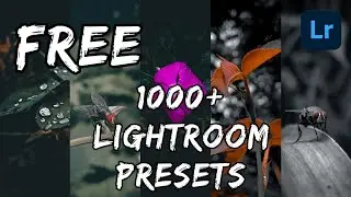 LIGHTROOM PRESETS II  FREE 1000+ PRESETS  II NO NEED OF PASSWORD & DOWNLOAD LINKS