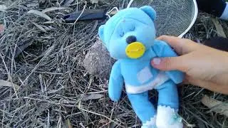 The baby