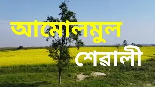Amulmul Xewali Gundh || Luknath Goswami || Cover by Bipul Gogoi