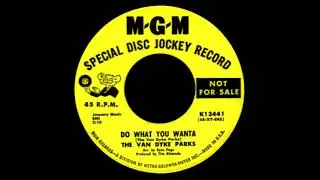 Number Nine / Do What You Wanta - The Van Dyke Parks