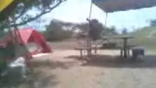 Yellow Tent