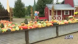 Port Farms welcoming fall season with start of Homegrown Harvest Festival