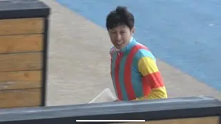 【現地】2025 オーケーダイナ 武豊 3歳未勝利を勝利【函館競馬場】