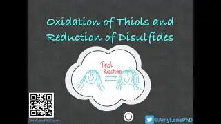 334 BCH3023 Oxidation of Thiols and Reduction of Disulfides
