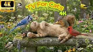 Calming TV for Cats to Watch 🐦🌿 Real Garden Birds to Keep Cats Calm | 4K UHD
