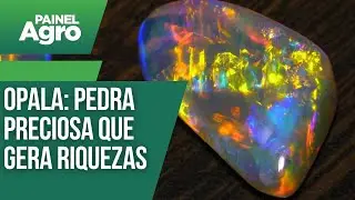 Opala: pedra preciosa que gera riquezas em Pedro II