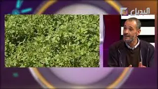 المستثمر الفلاحي محمد الأمين شنوف: هذه تقنيات وفوائد #زراعة #البرسيم