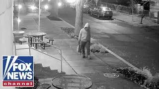 Charges facing Jan. 6 bomb suspect comparatively 'LIGHT,' argues ex-law enforcement official