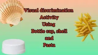 Visual discrimination activity  for toddlers and kids || enhances visual and observational skills
