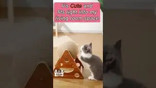 Cat Scratcher Toy With Ball #shorts