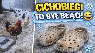 Kacza Mama nadaje na żywo nr.16