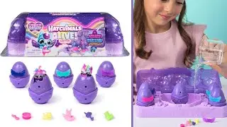 Hatchimals Alive, Neon Rainbow Egg Carton Toy for Girls & Boys