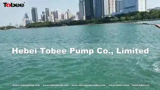 Tobee&reg;  10x8F Horizontal  Sand Pump