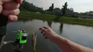 $12 Micro Stix combo field test...  Will it catch fish?