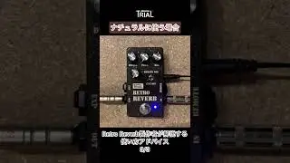 TRIAL/Retro Reverb Operation Guide: Natural reverb for acoustic guitars is also possible!