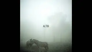 Alberto Tolo, DIT ZY - Foggy Safari [ALT08]