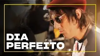 Dia Perfeito - Cachorro Grande | Zoombido