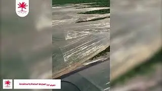 فوائد تغطيه الفراوله وحمايتها من الظروف الجويه الغير مناسبه