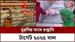 মুরগির মাংস রপ্তানি টার্গেট ২০২৫ সাল | Chicken Export | Channel 24