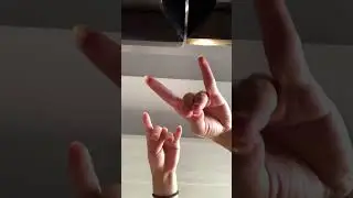 I took a nap | #shorts #fypp #handpuppets #cracra #idk #boandbill #viral #fun #werebored