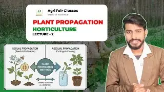 Plant Propagation in Horticulture | Lecture 2 | Sexual & Asexual Methods 🌱12th Agriculture