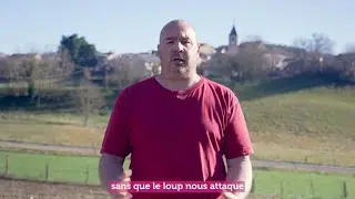 Les éleveurs face aux prédateurs - épisode 9