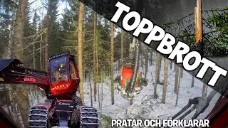 Komatsu 901 C93 | Gallrar toppbrottsskadad skog