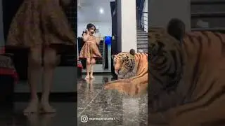 നോക്കി നിക്കാതെ ഓടി രക്ഷപെടെടീ.. 😂😂