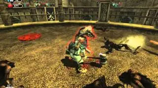 Fable - Witchwood Arena