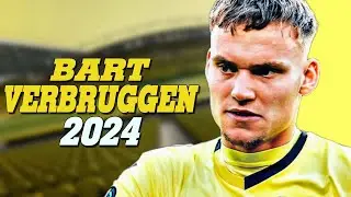تصديات بارت فيربروجن | حارس نادي برايتون - 2024