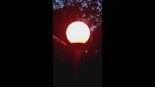 Mystic Orb