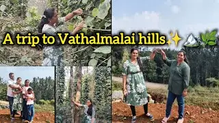 🌿🏔️Family trip to Vathalmalai hills❤️🏔️Pepper ⚡Coffee bean☕#family time#Vathalmalai#enjoyment