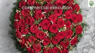Red Naomi Roses Under Glass Greenhouse
