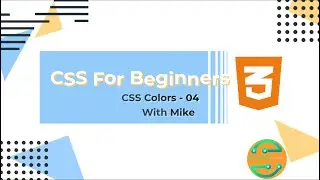 CSS tutorial for beginners in Amharic - 04 - CSS Color @programmingcircuit
