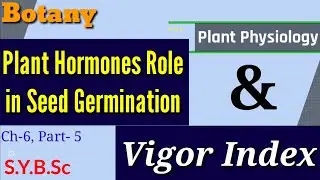SYBSc| Ch-6(P5)| Plant Hormones Role In Seed Germination | ABA, GA, Auxin, CTK | Vigor Index Concept